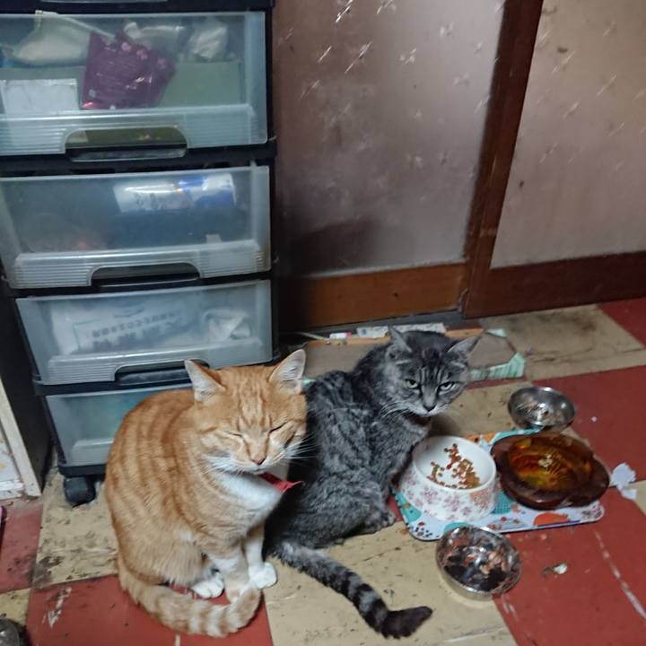 7fb15e30 4c66 4659 906c 61f412c3d340 1575153385219