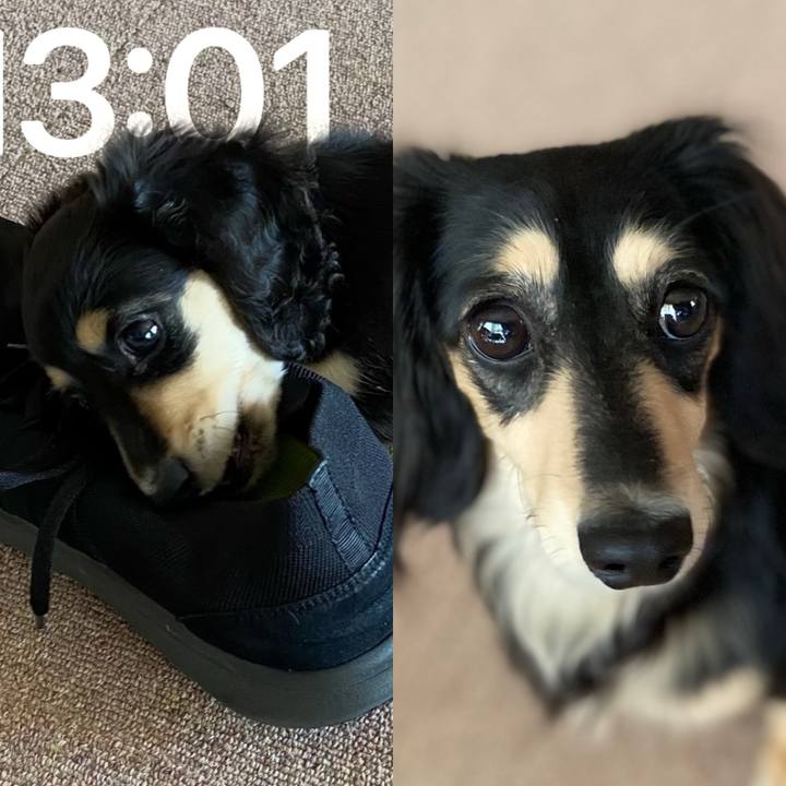 7fb179ee 4658 49e5 8a6f 77db6f1c5634 1716956246281