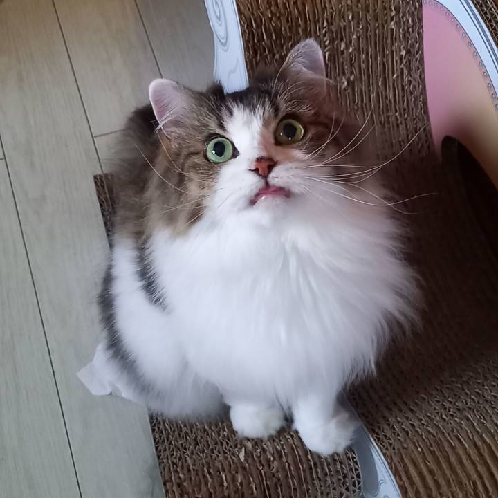 7fb1bf1f 0414 4501 bf4f 50a13c9532f8 1629419542072