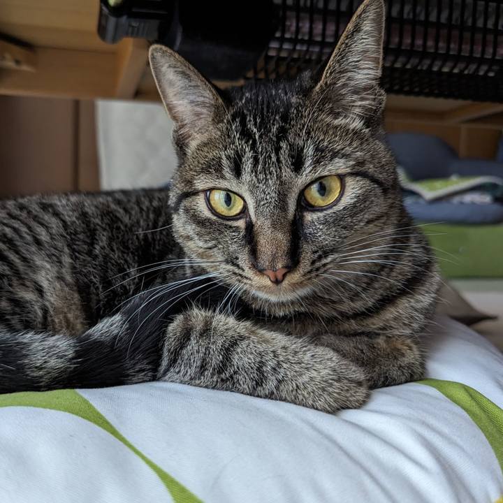 7fb1d25b 361e 4033 be8d ab8c2604697c 1716351810313