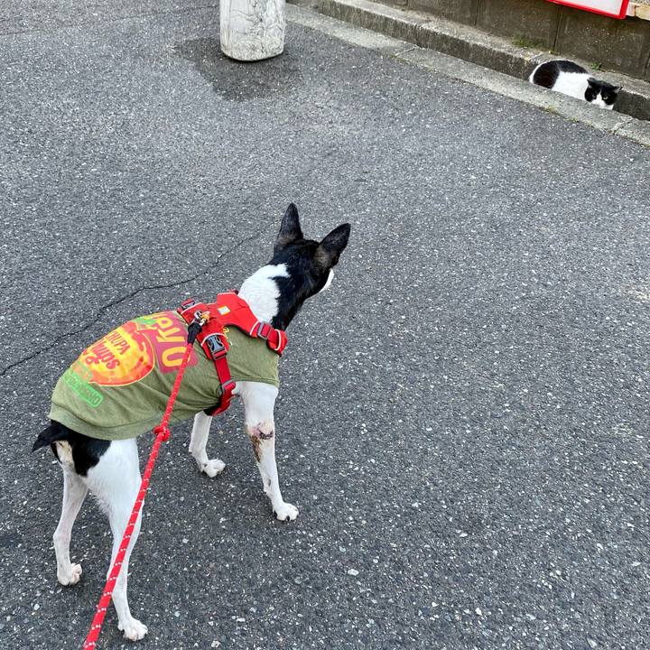 7fb20544 14dd 449c aed7 a7ea366e79a1 1619560193436