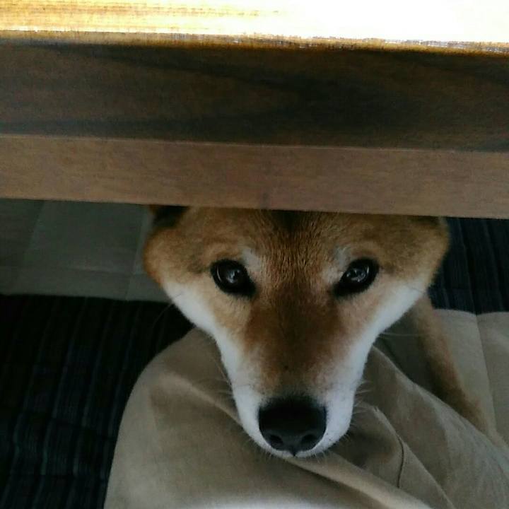 7fb2076d 6dff 47fc b84e e4944e32e973 1562840218382