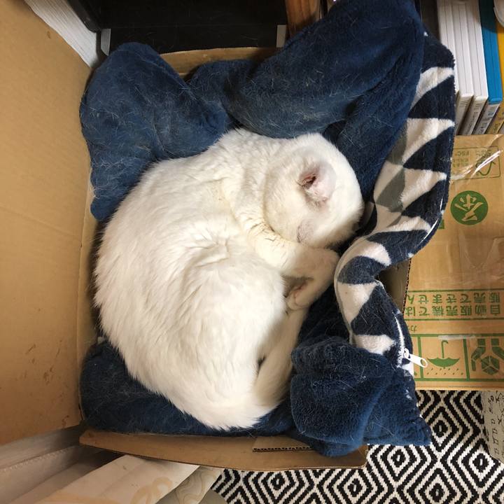 7fb21865 b76a 4a35 bafa 354456f9e001 1540596610510