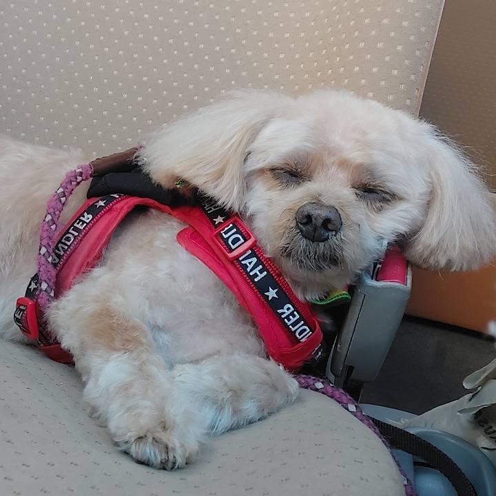 7fb266a6 381b 4a80 ab4a 476ce01671ac 1732188238980