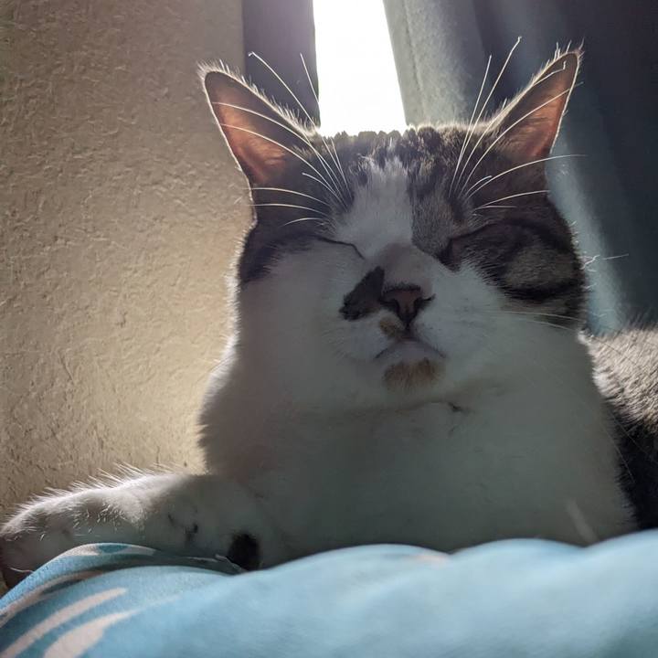 7fb27ab5 9355 487b b898 d5ba4b0bff51 1685237910519