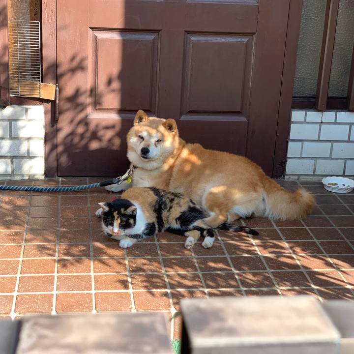 7fb2af5a f037 4c9e af80 93201800715c 1567811722104