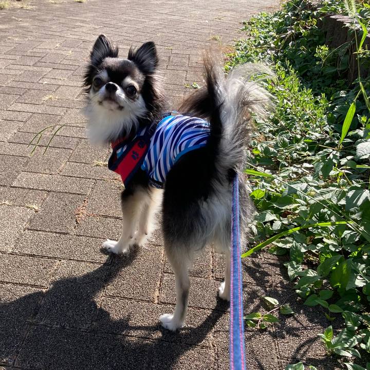 7fb2c752 1898 4318 ae78 fe98384c0cf5 1696694053959