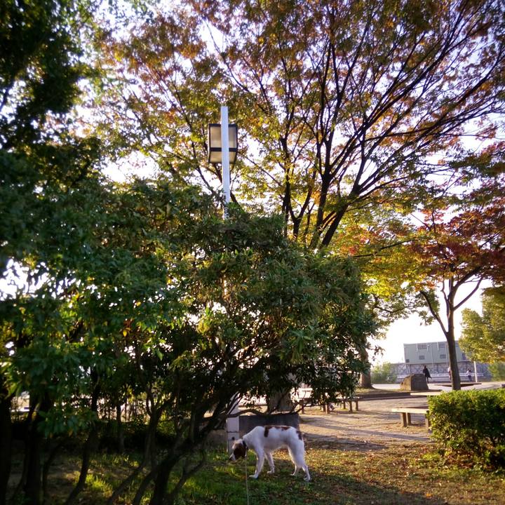 7fb2e94c 0c80 4e93 baa9 000ef87a143a 1510490455728