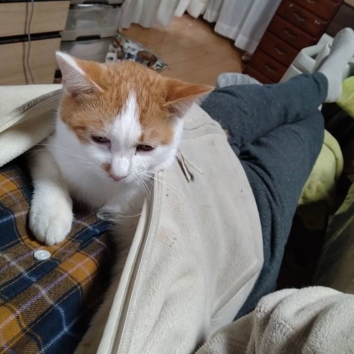 7fb312e3 6979 4096 81fb 744904667160 1736842996814