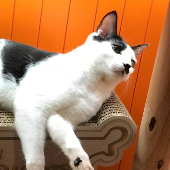 7fb3387e 4557 4adc b2a4 6639b1007a3a 1512369488402