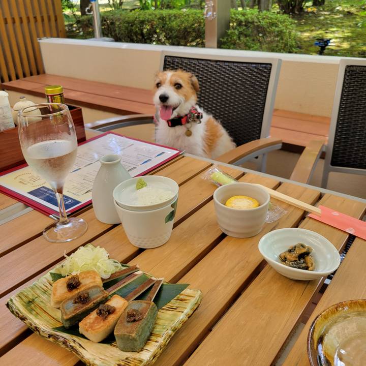 7fb3c7f5 baf2 47b8 acb3 59ff94fddb3b 1691483046183