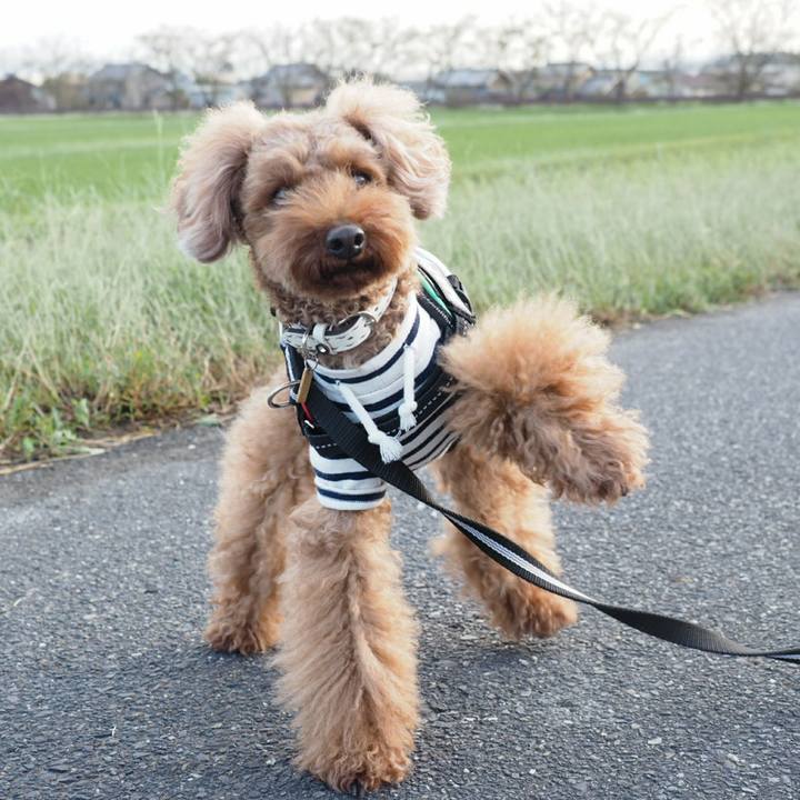 7fb40df0 a552 4e05 898b c2fdfb489540 1508814665260