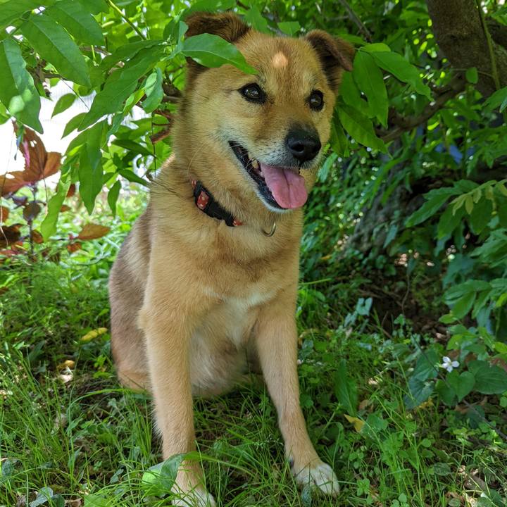 7fb446b5 b04b 4466 bd52 d03e53464198 1658665445692