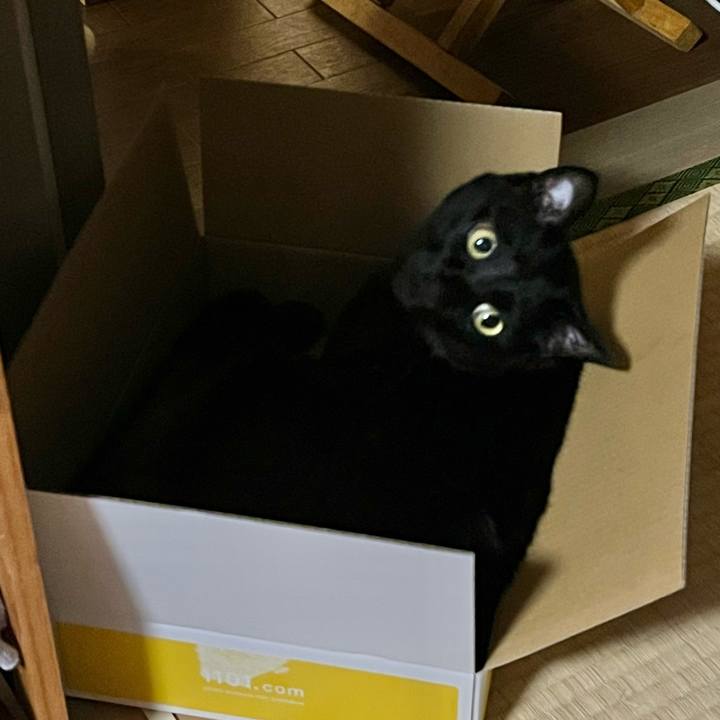 7fb459df 9484 40df 8d0b a7444e1ea917 1745586935260