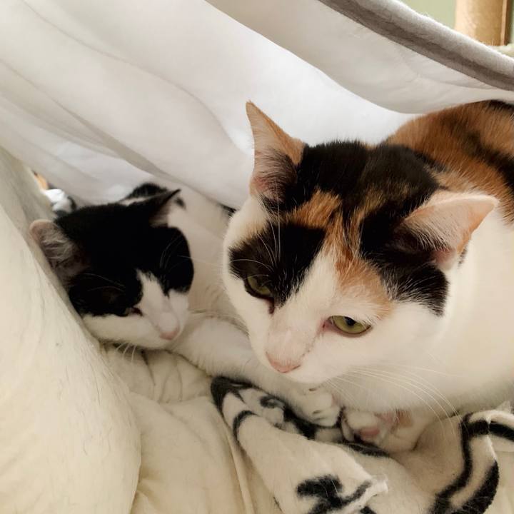 7fb49392 5aad 44b2 aec0 f616751d081b 1550197207399