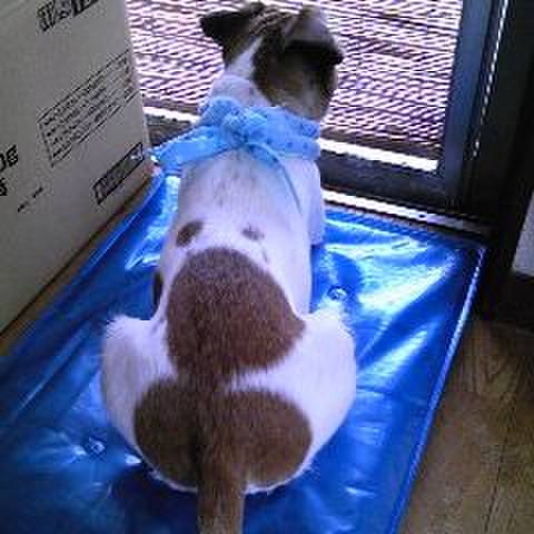 7fb4b2c6 53f3 4aa6 9a64 502ef640ac49 1531715250774