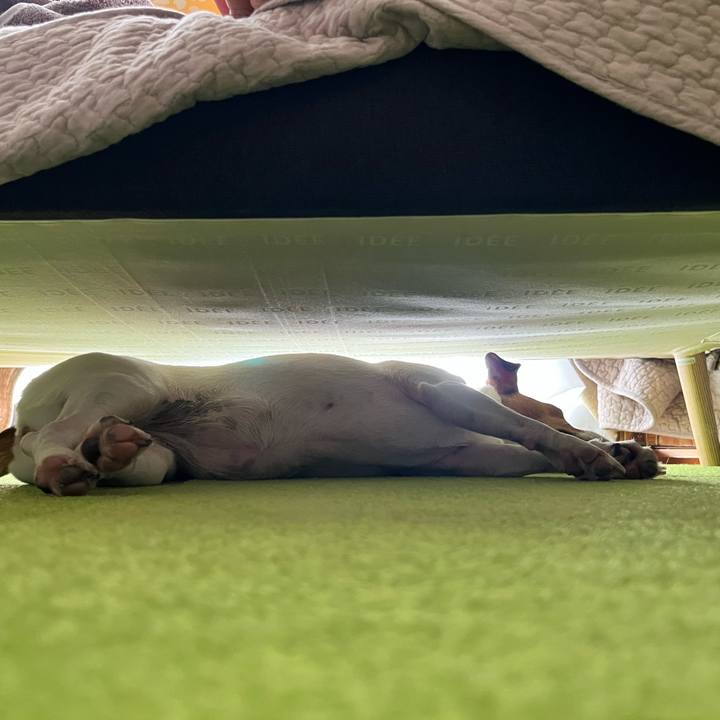 7fb4d9e9 ce05 4963 b39b b3934912c4d3 1722383306755