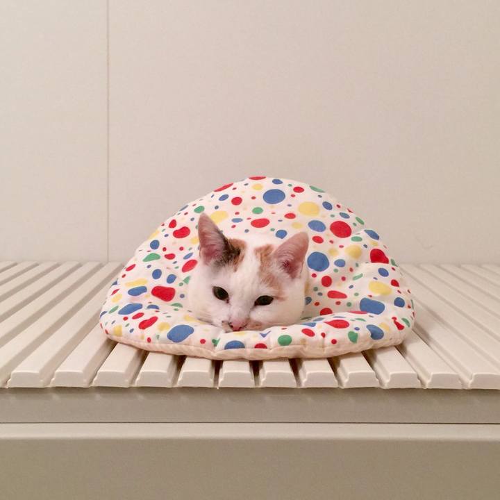 7fb4ed16 9dd6 428d 93fa 081720ad063d 1519387931224