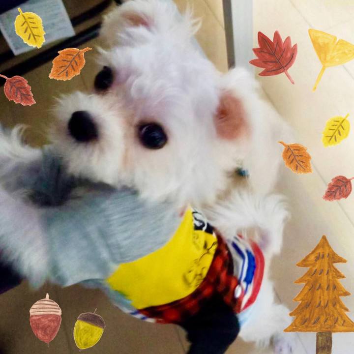 7fb52bde dfd0 47ee 9ae3 653996617c82 1634710117484