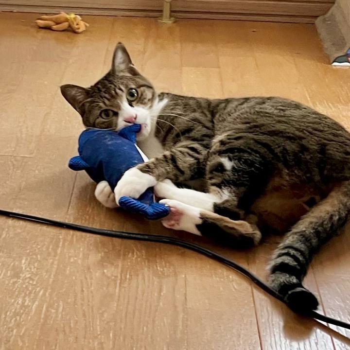 7fb52efb 3025 486b 95f0 44ac1c56ebcb 1739240516566