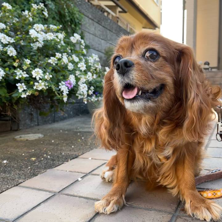 7fb54403 26e1 43e2 a8b7 dad068f77c6c 1699143369134