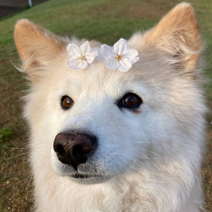 7fb56ade 52be 4101 b7ec 2a702d7252ba 1712549327084