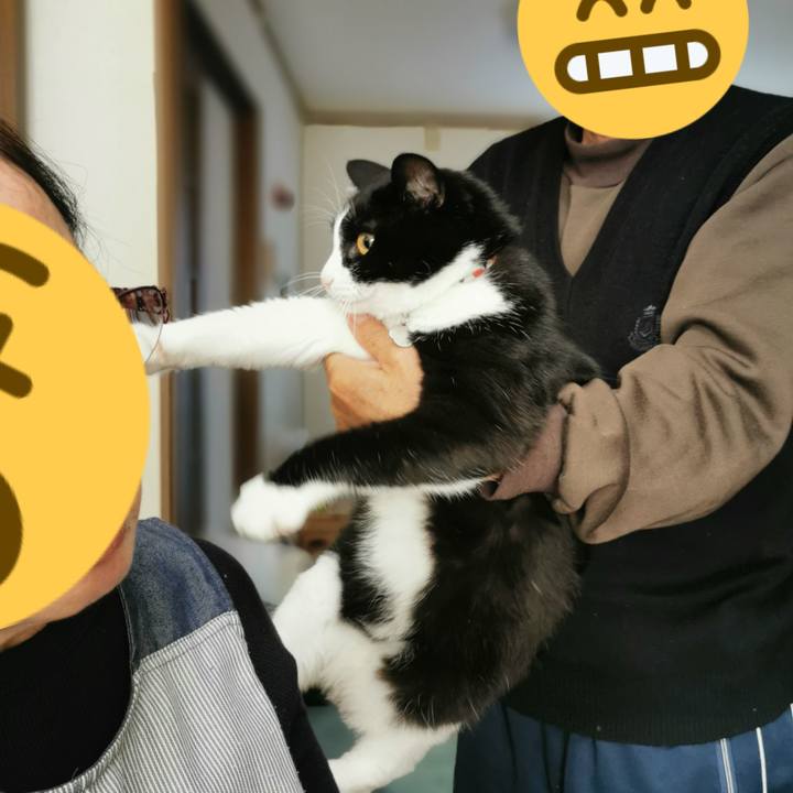 7fb5a46b e26b 4962 88c3 ffd3877bf882 1636430090221