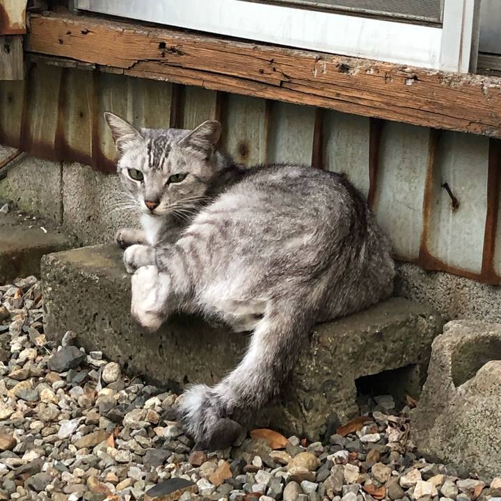 7fb5c463 9355 45e6 8229 4d470c845257 1560602162385