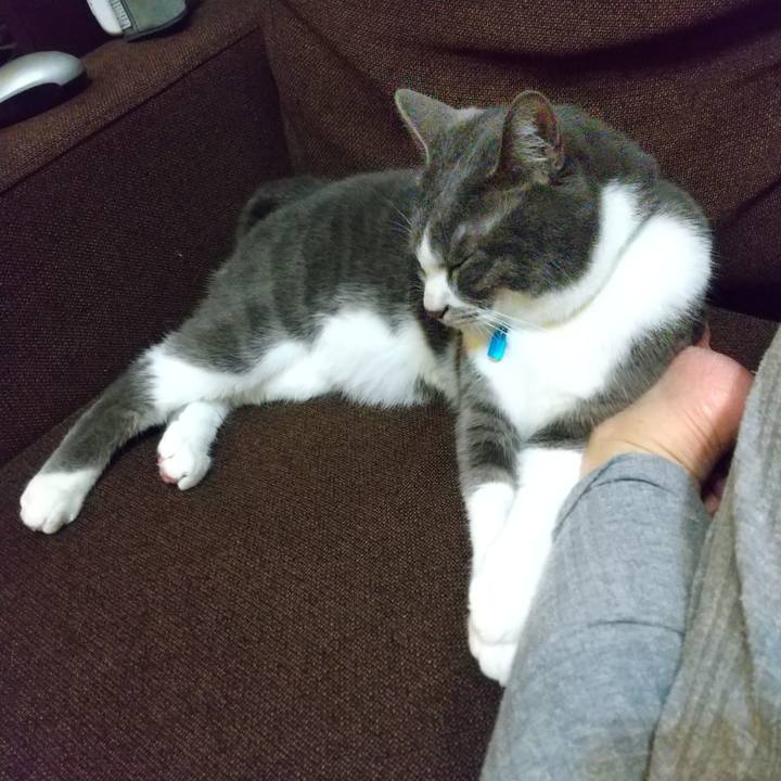 7fb60cc3 790b 4838 9ab6 f96942fc5b3a 1649504149705