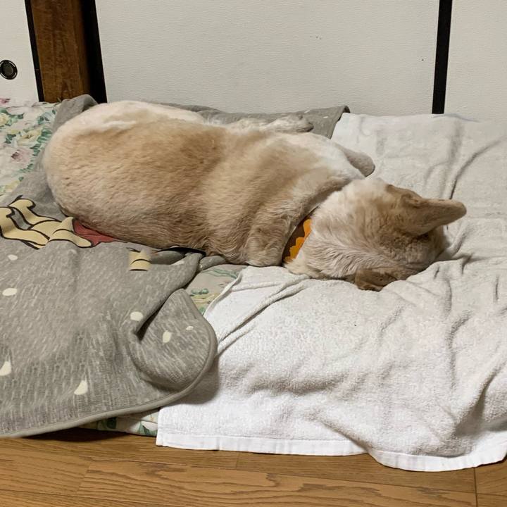 7fb616fa 385a 4257 8c30 6f838e462651 1584112678202