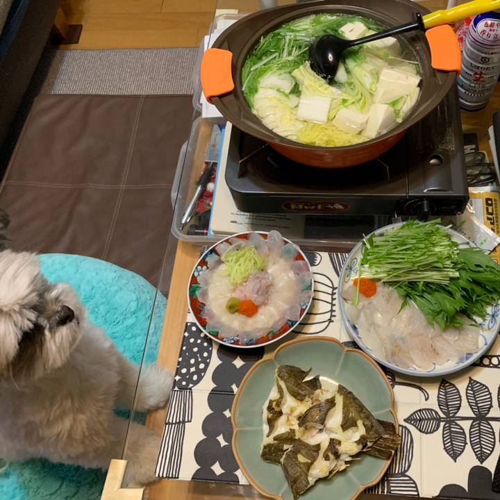 7fb666a4 e477 4be8 a028 0d11f9c67013 1552181557453