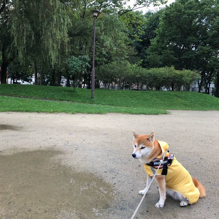 7fb66e5d c912 4102 9a0f 0dee92923d5f 1535630894010