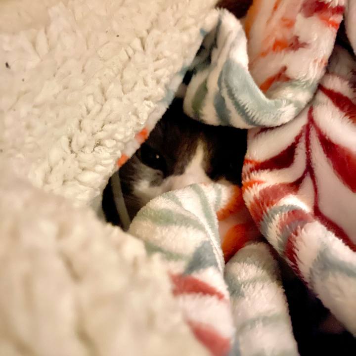 7fb6a5d9 70d9 4f36 8a8c 45238d87928b 1703061378986