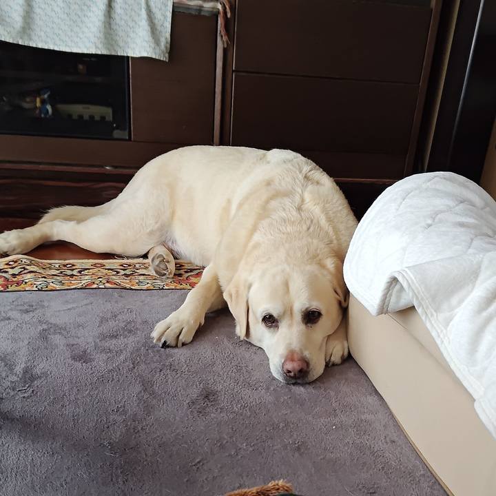 7fb6bc46 7621 4154 9d87 2ffc1bbfaa5e 1744510608888