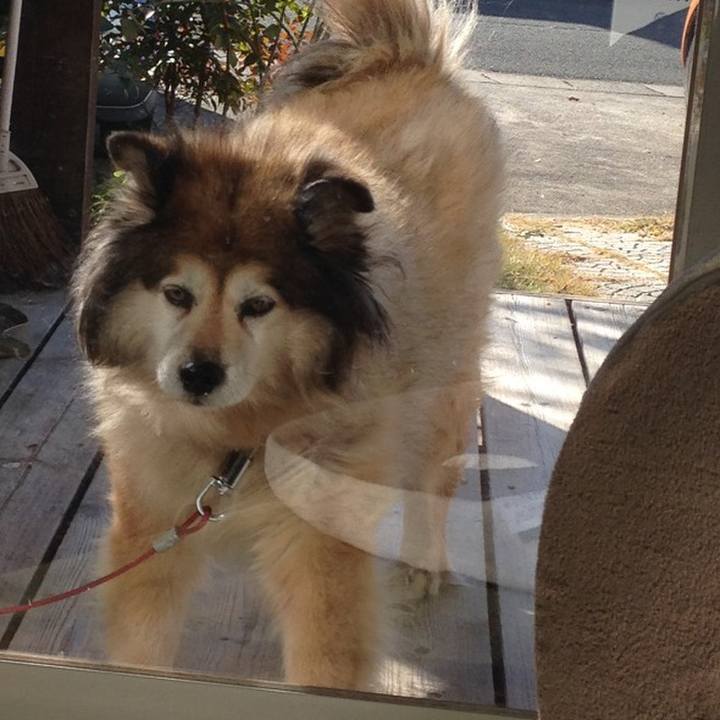 7fb6d2a9 0019 4933 904a 6b2939e7ed17 1610428547997