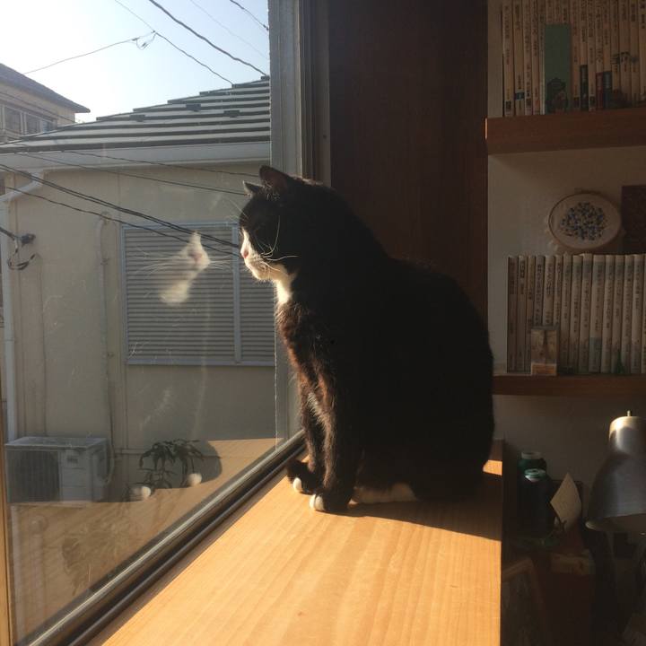 7fb6d60e 63a7 41b0 a4ec 61741fc6202e 1520983345619