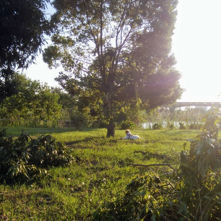 7fb6d6eb 592c 4c1a a324 1518718599eb 1536147878582