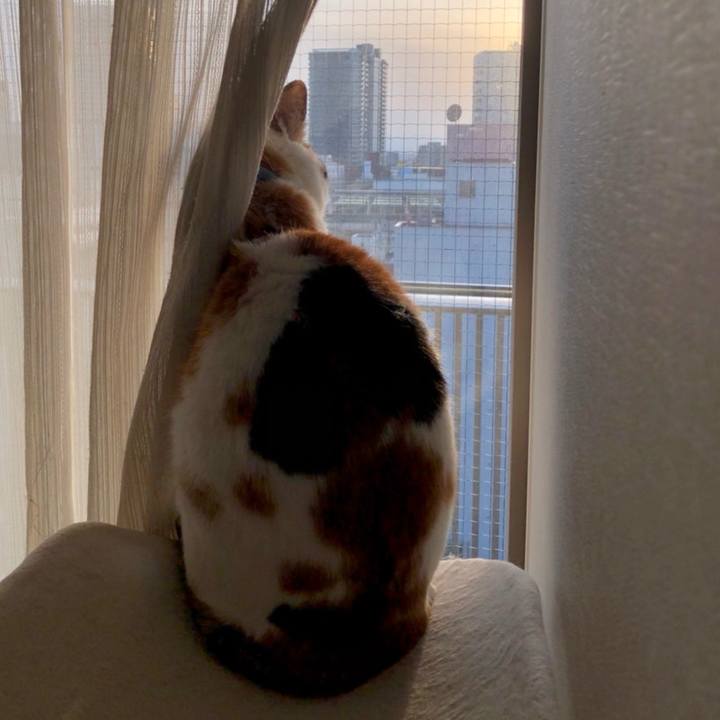 7fb6de07 e513 448f 8470 fd5d615a4b51 1710281843213