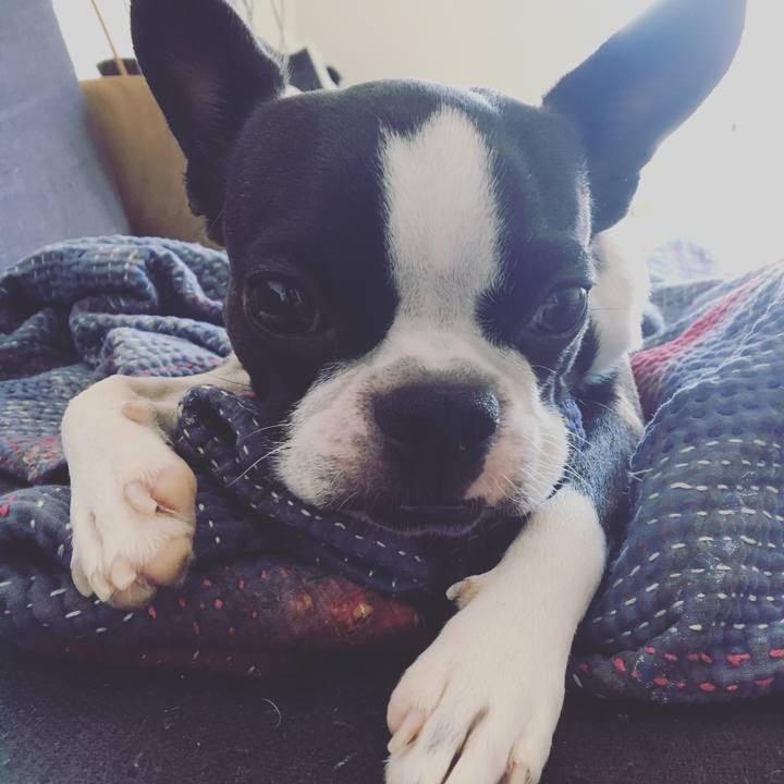 7fb6dfaa 38f7 4807 b74e 915dc93b5c32 1539842383764