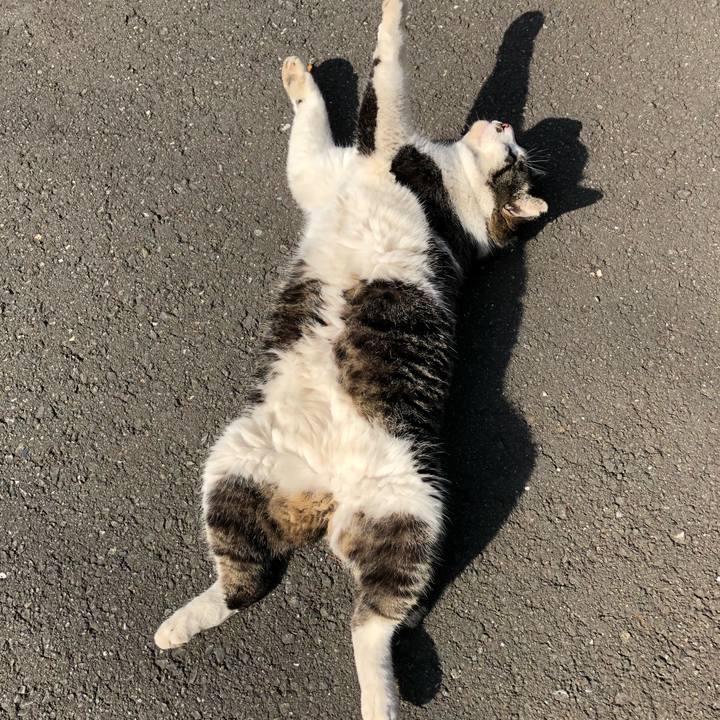 7fb713d7 2034 4886 896c 8b1ed0c80d28 1516516654778