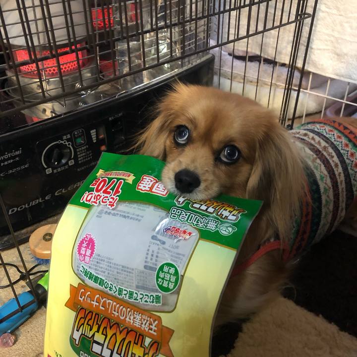 7fb746ca 6ff4 4ba0 91da 849702db998f 1546812036022