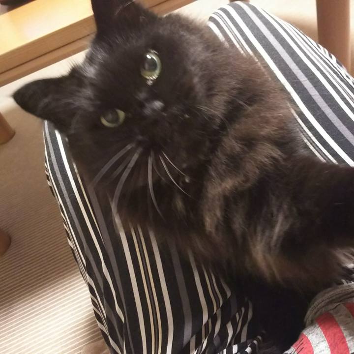 7fb74912 bcb7 4830 9130 c90f812fec6e 1531568944465