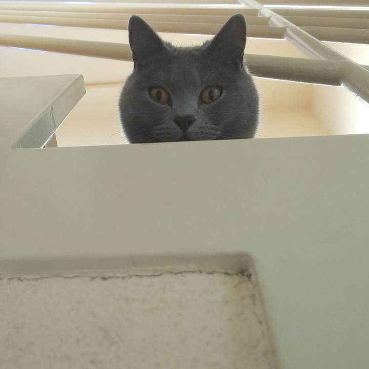 7fb7798f 6836 45e8 ac7f feda38874da6 1543966776482