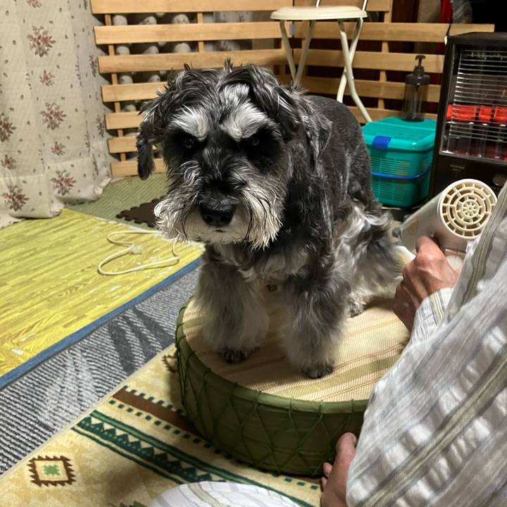 7fb7d77d 82a8 47e8 810a eb58cc1245b1 1732270315747