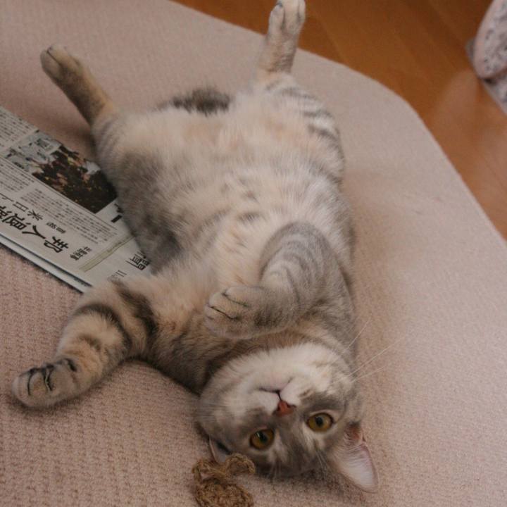 7fb7dd0a 0e30 4dd3 ac59 8341ffefcf7c 1509964694793