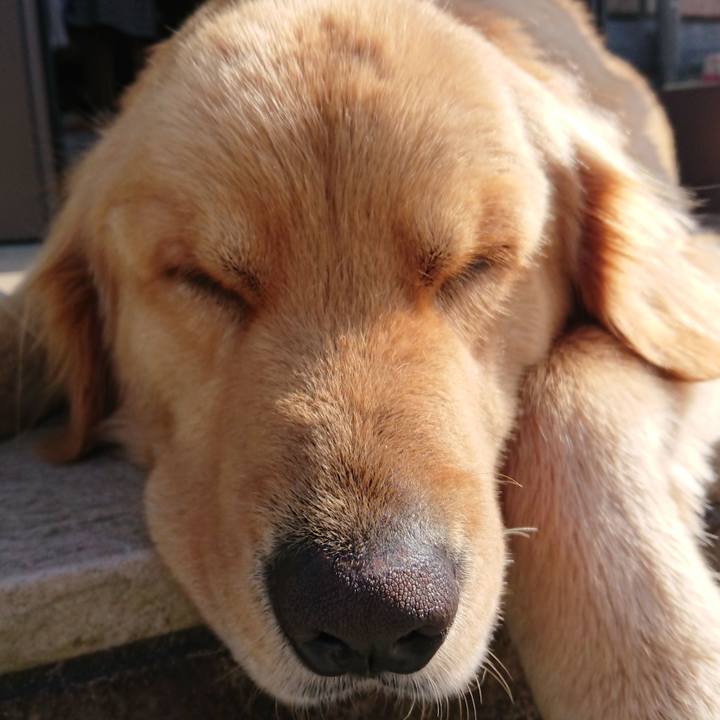 7fb8070f 4fa8 4766 a92a 71890ff6d39b 1555931122304