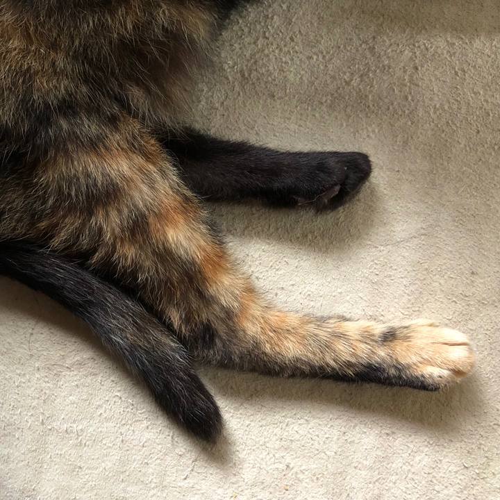 7fb80d10 7f13 4bce 9874 5775ed3833d8 1720006965005