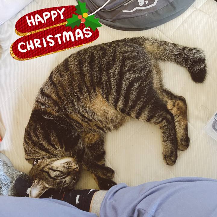 7fb82cbc abca 448a a2db 272117125d5f 1577243179482