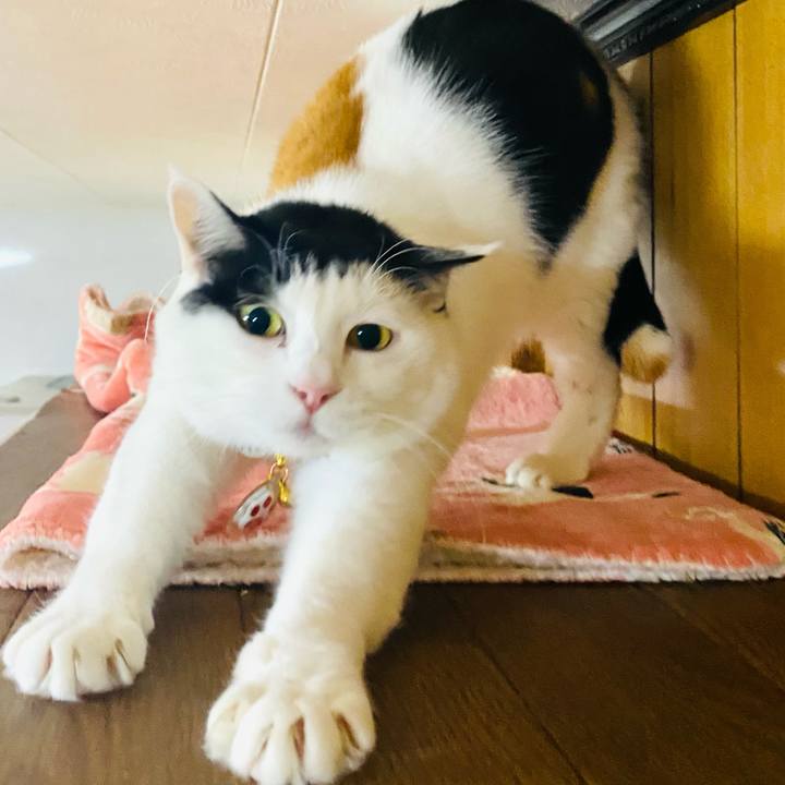 7fb832aa acdc 44c0 bcbf 52ba1f395880 1708948954878