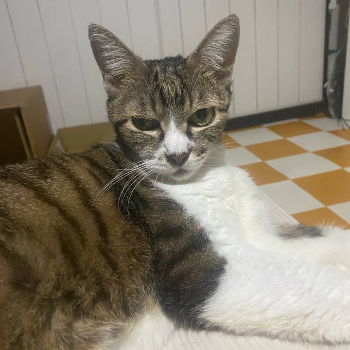 7fb84389 4124 4f8f 83ea d76219da3bb7 1723984689436